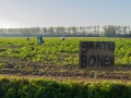 60.000 kg gratis sperziebonen te plukken aan de Lugtenburgsedijk in de gemeente Strijen - Foto MS Fotografie | Marc van der Stelt