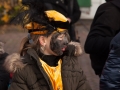 Sintintocht 2016-9208