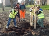 Zowel in Strijen als in Heinenoord ging de schooljeugd aan de slag om bomen te planten tijdens de Boomfeestdag 2014. (Foto's: Arie Pieters©)