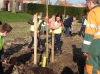 Zowel in Strijen als in Heinenoord ging de schooljeugd aan de slag om bomen te planten tijdens de Boomfeestdag 2014. (Foto's: Arie Pieters©)