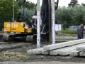 Striene 28-8-2014 C3