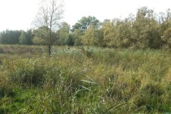 Foto serie Eschenplaat Strijen - Zo dichtbij en toch zo anders dan het Oude Land