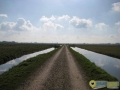 Tijdens wandeling door het Oudeland van Strijen gemaakt door Marie-cecille Van Der Graaf