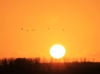 Mooie zonsondergang gemaakt vanaf de rand van Strijen ( Strienemonde ) richting het ondergaande zonnetje. Foto: Ferry Krauweel