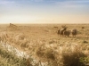 Foto van de week 37 - Jeffrey Groeneweg - Oudeland van Strijen vroeg in de ochtend.