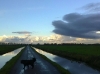 Foto van de week 46 - Tijdens een mooie wandeling op de bovenweg van Strijen. - Lenie van Eekelen