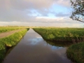 Oude Land van Strijen - Bert van Leeuwen