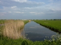 Een mooie overzichtsfoto van de Waleweg in Strijen gemaakt door GW Notenboom