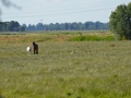 Rondje Oude Land Tussen de Bovenweg en Waleweg - Foto Gerhard Monkhorst