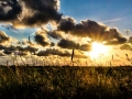Sunset in het mooie Strijen - Ferry Krauweel