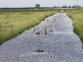 Waleweg is jongerenweg. - foto GW Notenboom