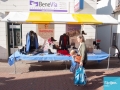 Herfstmarkt 2017-7016