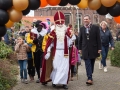 Intocht Sinterklaas 2015-4598