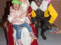Intocht Sinterklaas 2015-4633