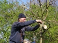 Frans Jansen hangt bijenhotel op in jonge hoogstamboom - NL Doet 2014 - De Peerdegaerdt