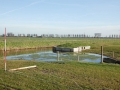Natuurgebied Molendijk - Keizersdijk Strijen - Mary Romijn Fotografie