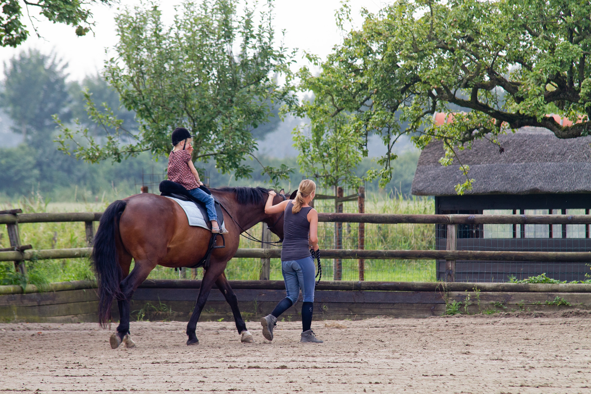 Opendag Landgoed De Peerdegaerdt Strijen - Zaterdag 12 juli 2014 - MS Fotografie