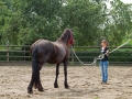 Opendag Landgoed De Peerdegaerdt Strijen - Zaterdag 12 juli 2014 - MS Fotografie