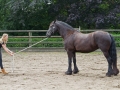 Opendag Landgoed De Peerdegaerdt Strijen - Zaterdag 12 juli 2014 - MS Fotografie