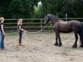 Opendag Landgoed De Peerdegaerdt Strijen - Zaterdag 12 juli 2014 - MS Fotografie