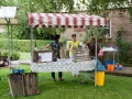 Opendag Landgoed De Peerdegaerdt Strijen - Zaterdag 12 juli 2014 - MS Fotografie