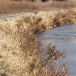 winter2013_Snapseed1