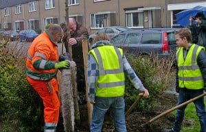 BoomplantMookhoek_620