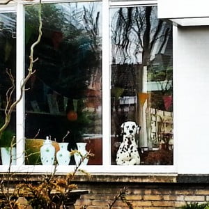 img_20130320_153856-1