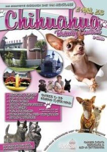 21-04-201321 april 2013 - Chihuahua dag