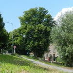 (Foto's: Arie Pieters©)