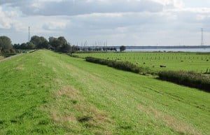 Buitendijk_Strijensas_620