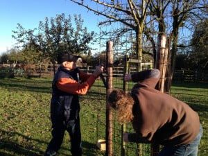 Natuurwerkdag 2012 - De Peerdegaerdt - VIII