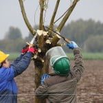 10630521694_41b70a6d0d_c