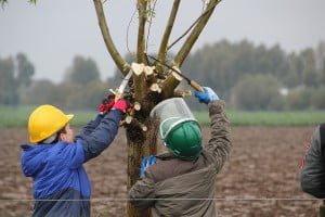 10630521694_41b70a6d0d_c