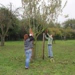 10630787306_fe3c0fa43e_c