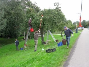 13_appels_plukken_HWL_002