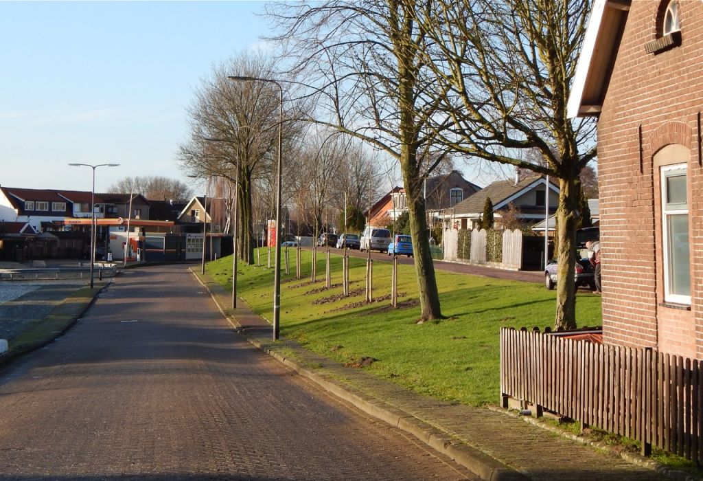 Nieuwe bomen Gorsdijk 2013 Langs de Gorsdijk zijn flink wat nieuwe bomen aangeplant door de gem. Binnenmaas. (Foto: Arie Pieters/'Fraxinus Excelsior'©)