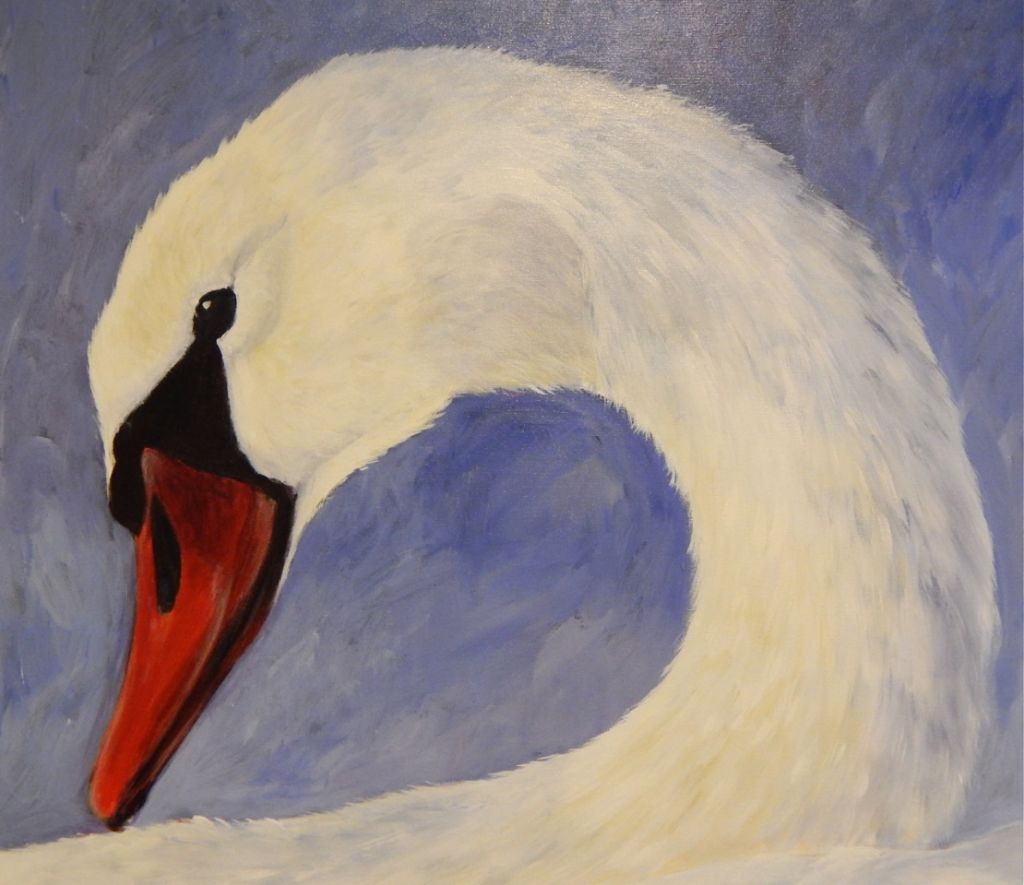 Knobbelzwaan Catja N. 2014