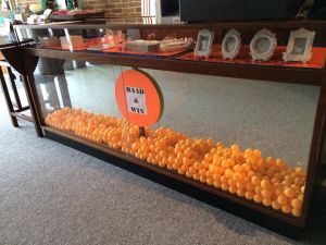 10369711_659986350723297_4085851203478067481_n