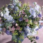 10300170_485606888239875_4958523818281952390_n