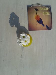 10445741_758499387505576_280563543_o