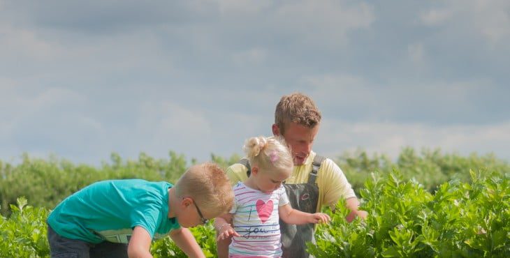 open dag hans d