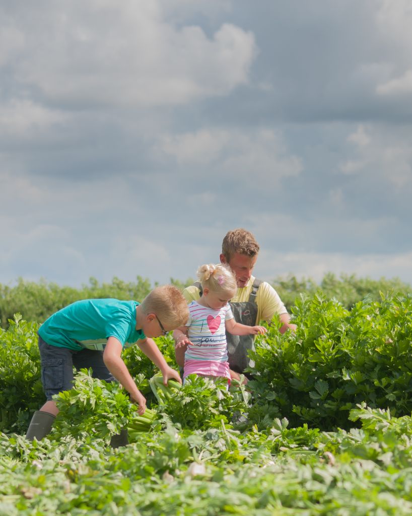 Open dag van Biologisch Goed in Strijen