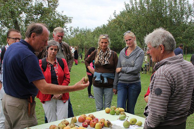De Peerdegaerdt met nieuwe oogst op de Groene Markt