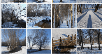 Schermafbeelding 2014-12-28 om 17.42.30