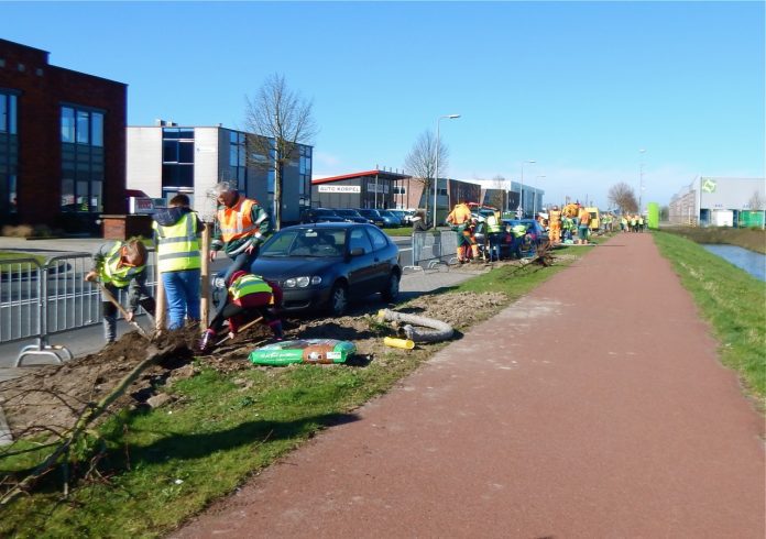 Boomfeestdag 2017 A16