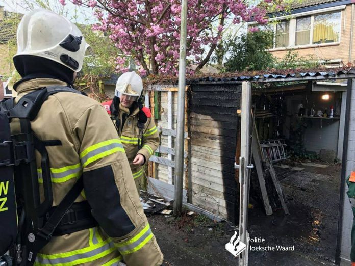 17917369_1098283290278235_2480508240989094063_o