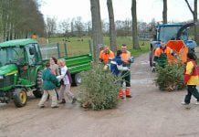 Kerstboominzameling gemeente Hoeksche Waard week later!