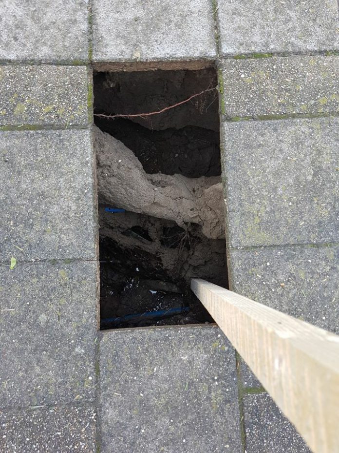 31562312_1432371800202714_2391876353818361856_n