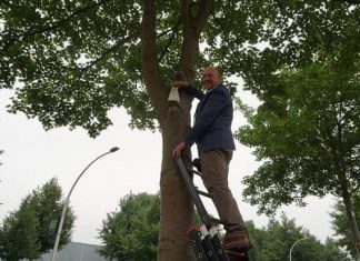 Wethouder zet lieverheersbeestjes uit tegen Honingdauw